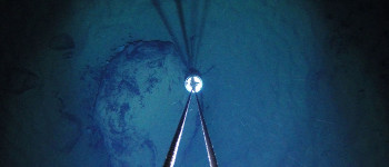 Вчені здивовані «дивними істотами» під антарктичним льодом