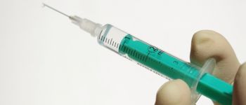 Вчені, які вставляють голки в мізки, цікавляться, що роблять ці голки