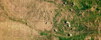 Датчики зі штучним інтелектом можуть перешкодити незаконній вирубці лісу