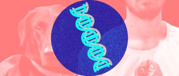 Деякі генетичні тести не можуть визначити, чи ви собака або людина