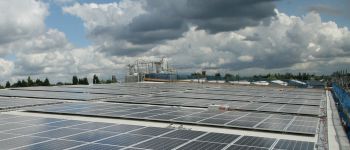 Сонячна батарея на бактеріях працює навіть під хмарним небом