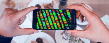 Вибачте, дієти на основі ДНК не працюють