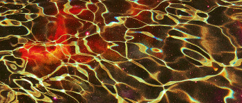 Питна вода на МКС кишить бактеріями