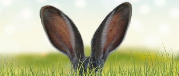 Вчений зі Стенфорда впевнений, що гаджети в вусі контролюватимуть наш мозок