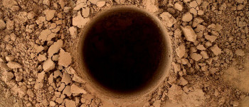 Стенфордський вчений попереджує про небезпеку від чужорідних патогенів