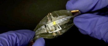 Батарея, що розтягується, витримає навіть екстремальні тортури