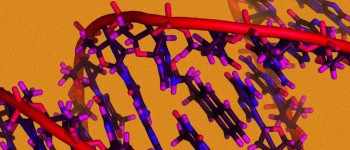 Дослідження розкриває генетичні зв'язки між психічними розладами