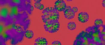 Половина носіїв коронавірусу не має ніяких симптомів