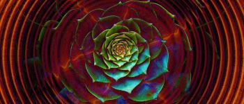 Цукор, світло і новий тип хімії проти викопного палива