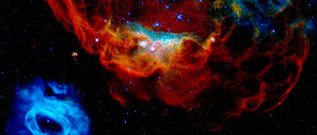 Наднові зорі залишають сліди в кільцях дерев тут, на Землі