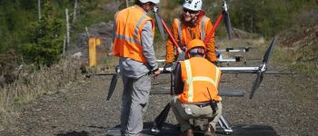 Рої дронів можуть садити дерева в районах, спустошених пожежами