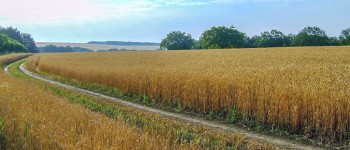 Найбільший збіг в еволюції людини