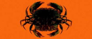 Розлив нафти з «Глибоководного горизонту» створив жахливих мутантів