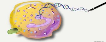 Перше клінічне дослідження КРІСПРу може початися в 2018 році
