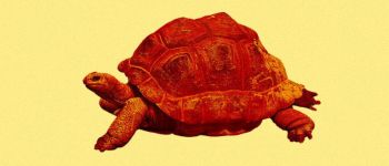 Ви не помиляєтесь: інтернет насправді дуже повільний останнім часом