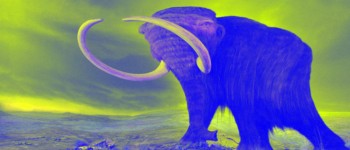 Останні шерстисті мамонти були інбредними мутантами