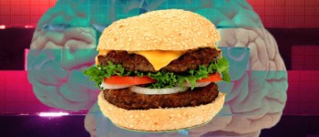 Західна дієта призводить до отупіння мізків
