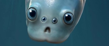 Найдавніші відомі хребетні у світі мали дві пари очей