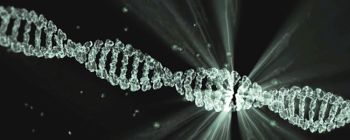 Нова теорія про те, як життя розвивається на базовому рівні