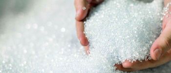 Ці бактерії перетравлюють харчові відходи в біорозкладаний пластик