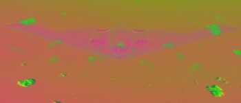 Штучний інтелект допомагає вченим розробити плащі-невидимки