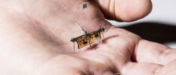 Цей маленький привабливий робот перший, що літає без проводів