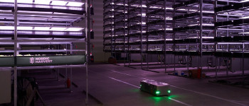 Ця вертикальна ферма може виробляти 1000 тонн продукції в рік