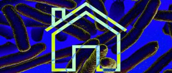 Професор хоче виростити цілі будівлі з бактерій