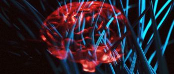 Комп'ютерні чипи цього стартапу працюють від людських нейронів