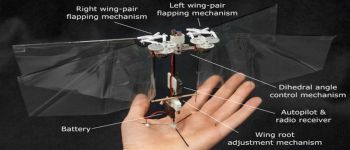 Цей крихітний робот імітує політ комах