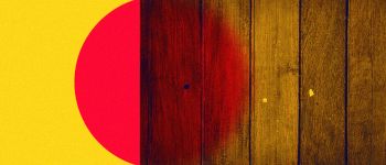 Ця «прозора деревина» може скоротити витрати на опалення вашого будинку