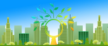 Дерева охолоджують температуру поверхні землі у містах до 12 градусів