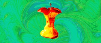 В США починається пробне тестування впливу псилоцибіну на анорексію