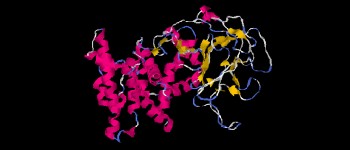 Ультрахолодна мікроскопія дає чіткіший погляд на білки