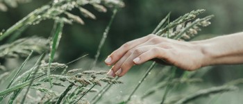 Проста прогулянка на природі швидко поновлює концентрацію уваги