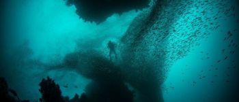 Вчені передбачають «катастрофічне» майбутнє внаслідок потепління океанів