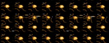 Дивіться, як КРІСПР редагує ДНК в режимі реального часу