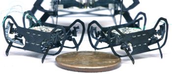 Гарвардський робот розміром з пенні метушиться, як тарган