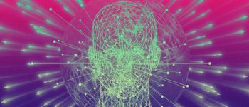 Перегляд навчального відео підвищує ваш показник IQ на 18 балів