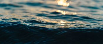 Ми п'ємо стільки води, що насправді робимо океан більш солоним