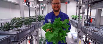 Ми можемо вирощувати овочі в Антарктиді. Наступна зупинка: Марс