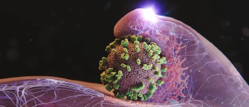 Тепер ми можемо спостерігати, як вірус грипу проникає у клітини людини