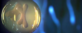 Ми можемо спостерігати, як спогади передаються через покоління