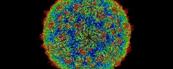 Ми створили штучний код, який управляє вірусами