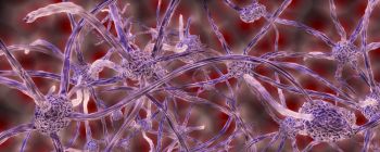 Ми, можливо, знайшли шлях, який контролює старіння