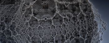 Нарешті закінчена мережа штучного інтелекту, яка була десятиліттями в процесі створення