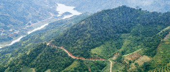 Дослідники ВООЗ виявили, де насправді почалася пандемія