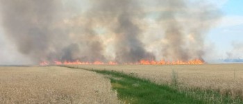 Дим від лісових пожеж може завдати шкоди здоров'ю навіть після того, як пожежа згасла