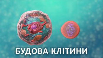 Будова клітини