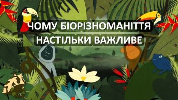 Чому біорізноманіття настільки важливе 